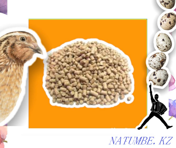 Compound feed for quails wholesale Astana - photo 1