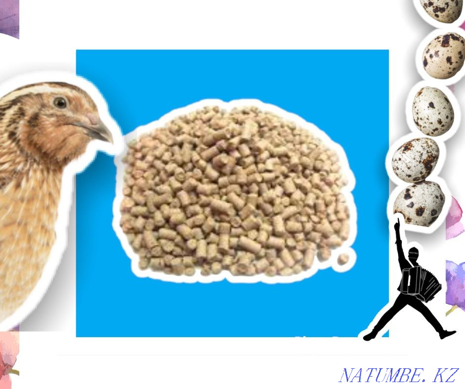 Compound feed for quails save money with us Aqtobe - photo 2