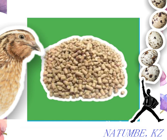 Compound feed for quail wholesale price Turkestan - photo 2