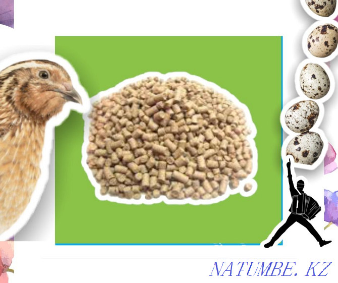 Compound feed for quail wholesale price Turkestan - photo 1