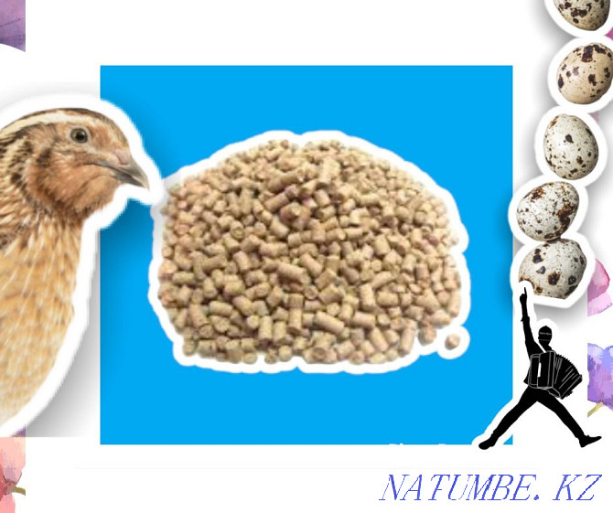 Compound feed for quails save money with us shipping by reg Atyrau - photo 1