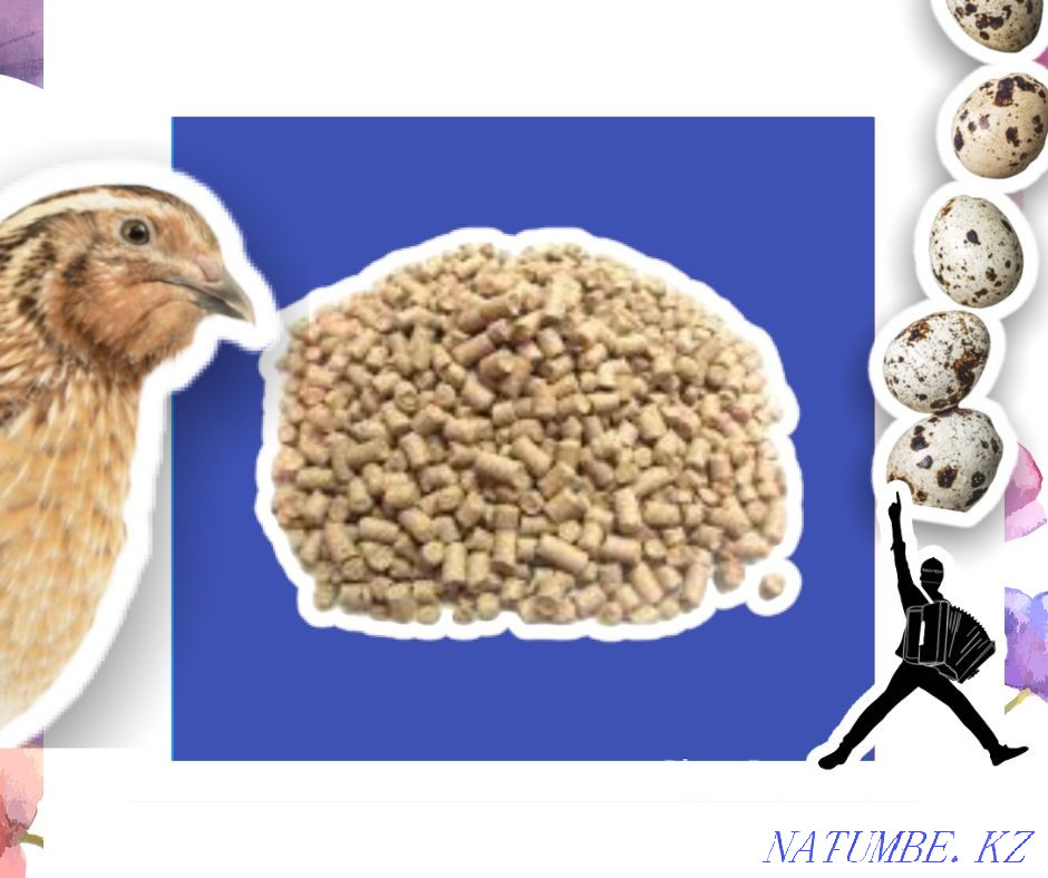 Бөденелерге арналған құрама жем рег. бойынша жеткізу арқылы ақша үнемдейді  Атырау - изображение 2