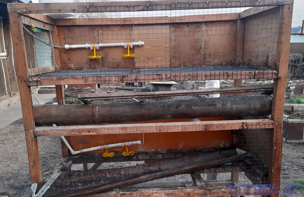 I will sell a big brooder for broilers, chickens. Petropavlovsk - photo 1