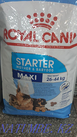 Royal canin maxi starter. Almaty - photo 1