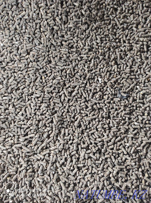 Compound feed for farm poultry Pavlodar - photo 2