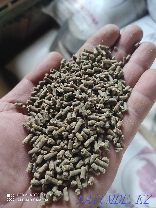 Compound feed for farm poultry Pavlodar - photo 3