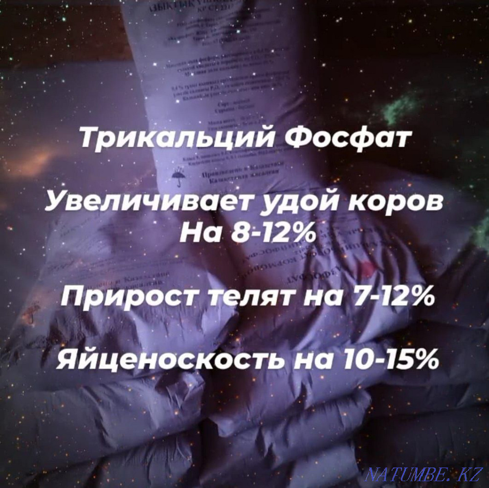 Трикальцийфосфат Кокшетау - изображение 2