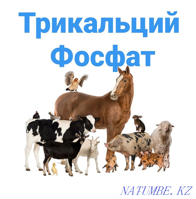 Трикальцийфосфат Кокшетау - изображение 1