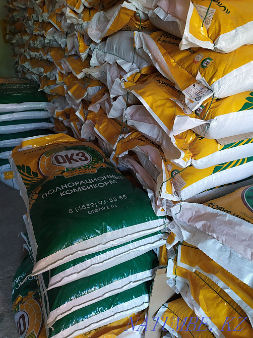 Комбикорм пшеница ячмень отруби Актобе - изображение 1