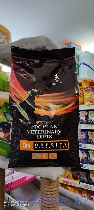 Құрғақ иттерге арналған жем  Алматы - изображение 1