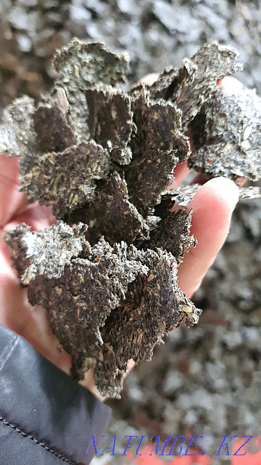 Жмых подсолнечный Алматы - изображение 2