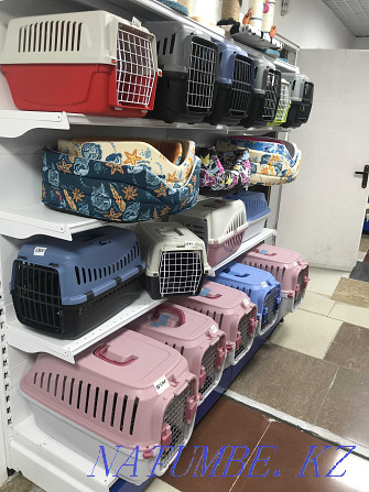 Carriers (different sizes) for animals in the pet store "LIVOY WORLD" Almaty - photo 3
