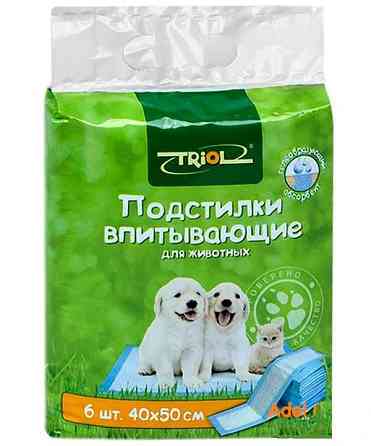Авиаперевозки для собак в зоомагазине "ЖИВОЙ МИР" Алматы