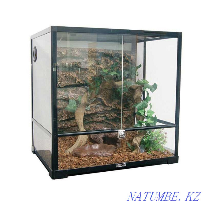 terrarium for reptiles REPTIZOO in the pet store "LIVOY WORLD" Almaty - photo 1
