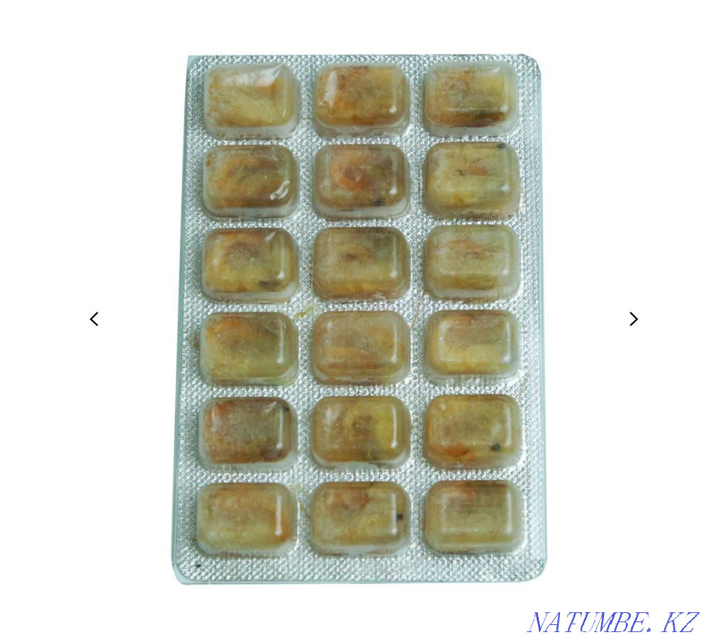 Акваменю Креветка. Натуральный замороженный корм для рыбок. Караганда Караганда - изображение 3