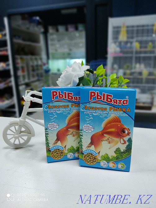 Корм для золотых рыбок, корм для рыб Астана - изображение 1