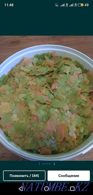 Fish food Oral - photo 2