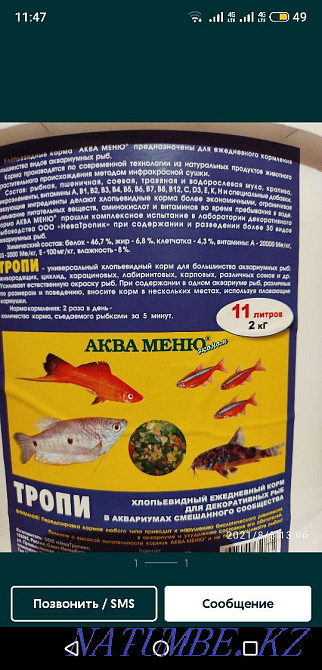 Fish food Oral - photo 1