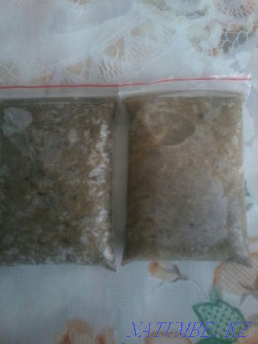 Продам мороженный корм для рыбок "коретра" Рудный - изображение 1