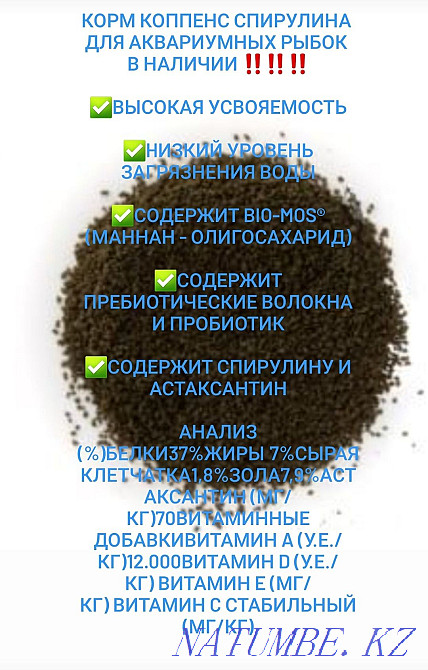 Коппенс Спирулина корм для аквариумных рыбок Костанай - изображение 1