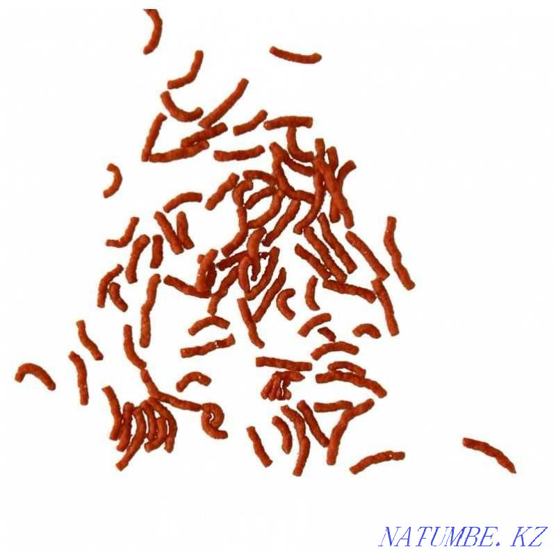 Petushki. Fish food Tetra Betta Larva Sticks. Karaganda Karagandy - photo 4