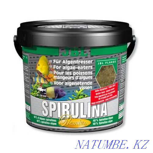 корм для рыбок хлопья 40% спирулина /////////////// Алматы - изображение 1