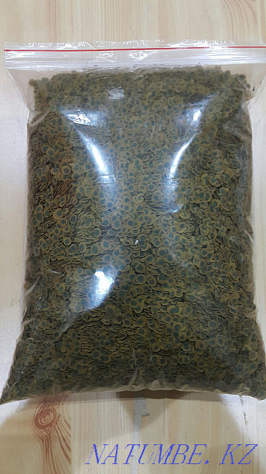 Корм для аквариумных рыбок Тетра про алгае (чипсы) Алматы - изображение 2