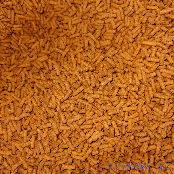 Fish Food High Quality Kostanay - photo 4