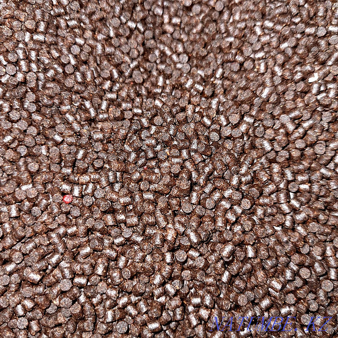 Fish Food High Quality Kostanay - photo 2