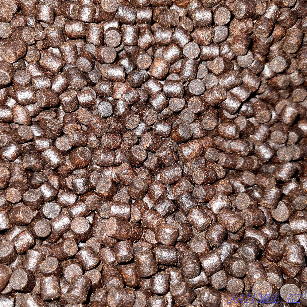 Fish Food High Quality Kostanay - photo 1