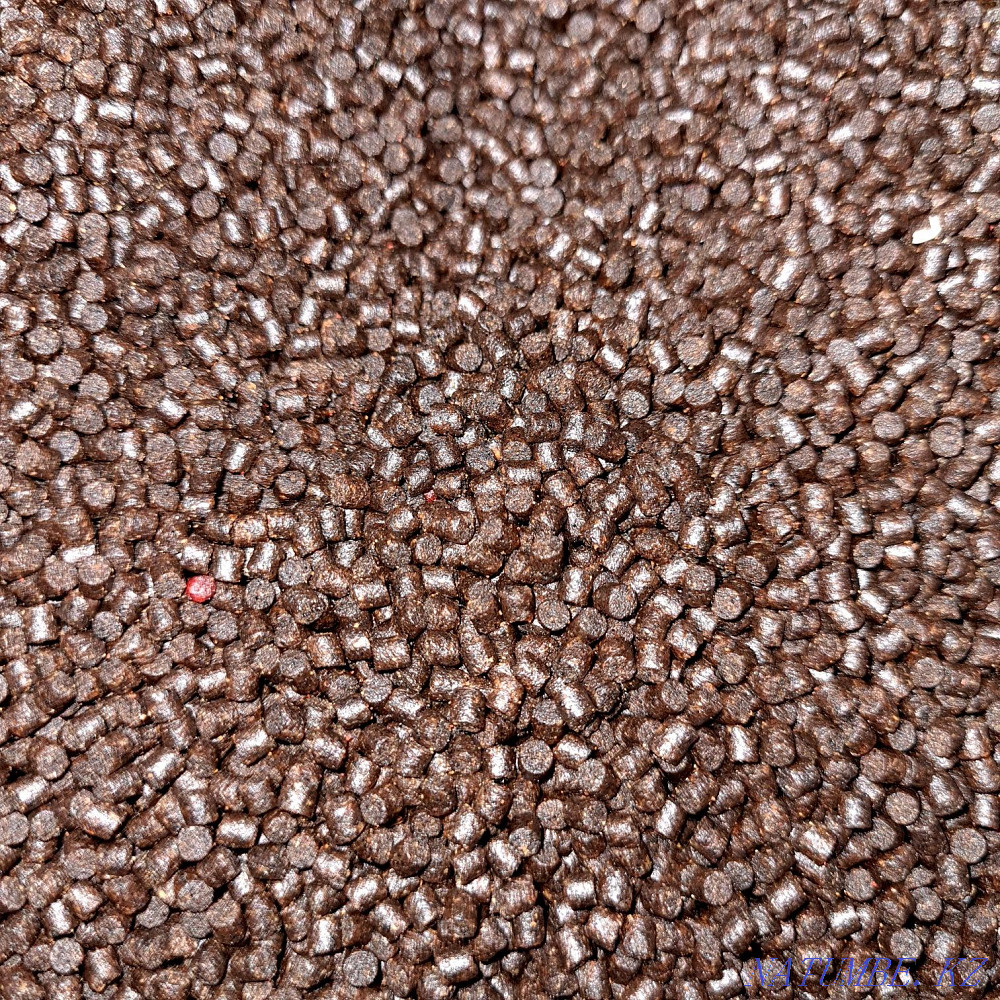Fish Food High Quality Kostanay - photo 2