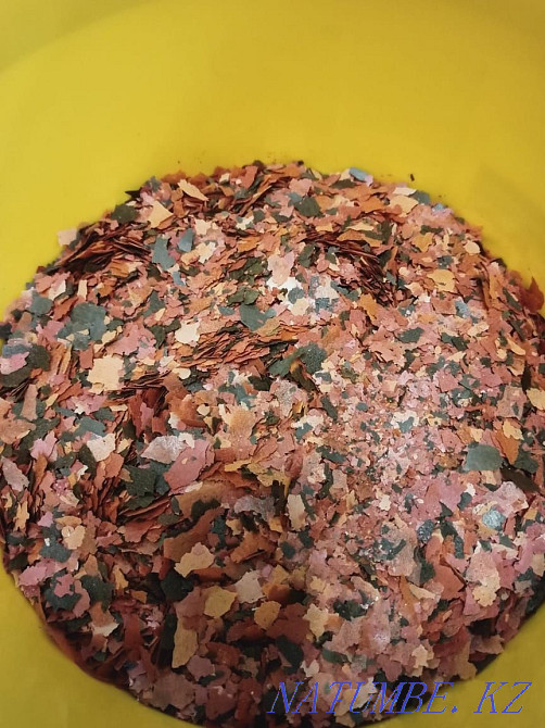 Fish food Dajana Color - for bright colors Oral - photo 2