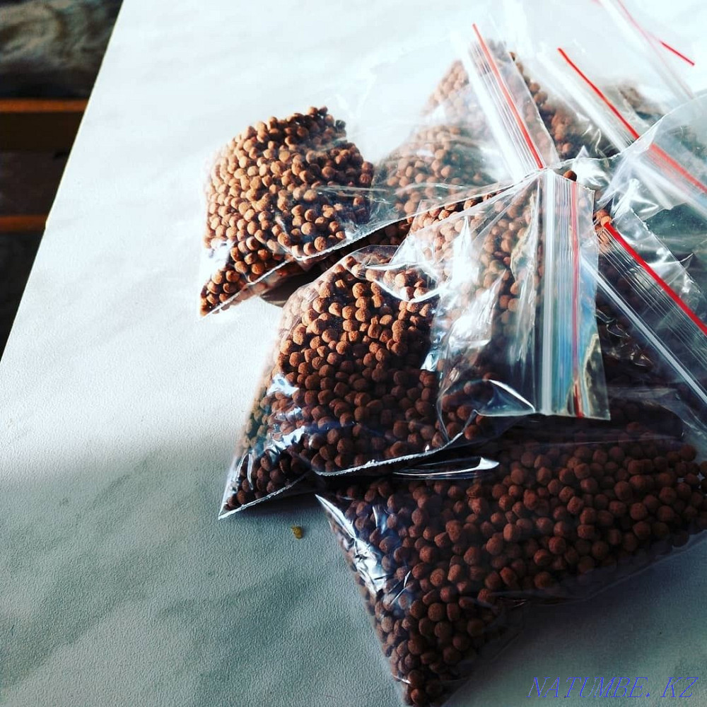 Food for all aquarium fish Aqtau - photo 2