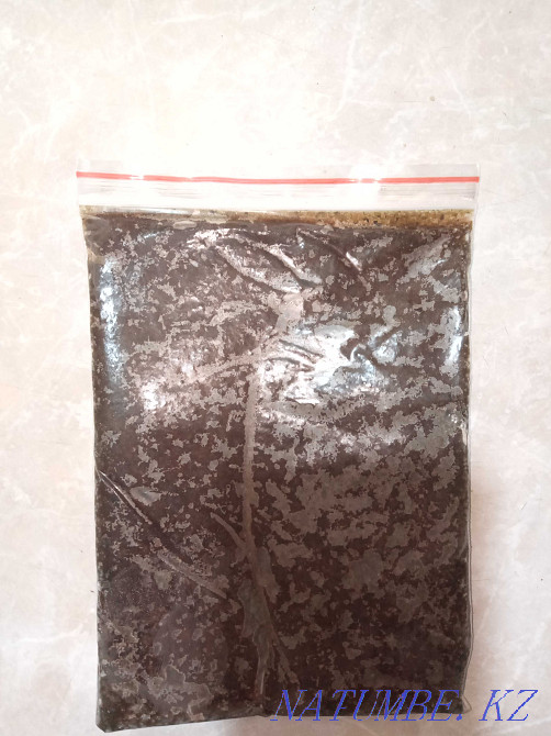 Sell fish food Astana - photo 1