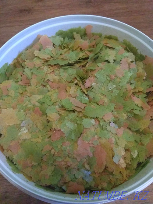 Fish food - flakes Oral - photo 2