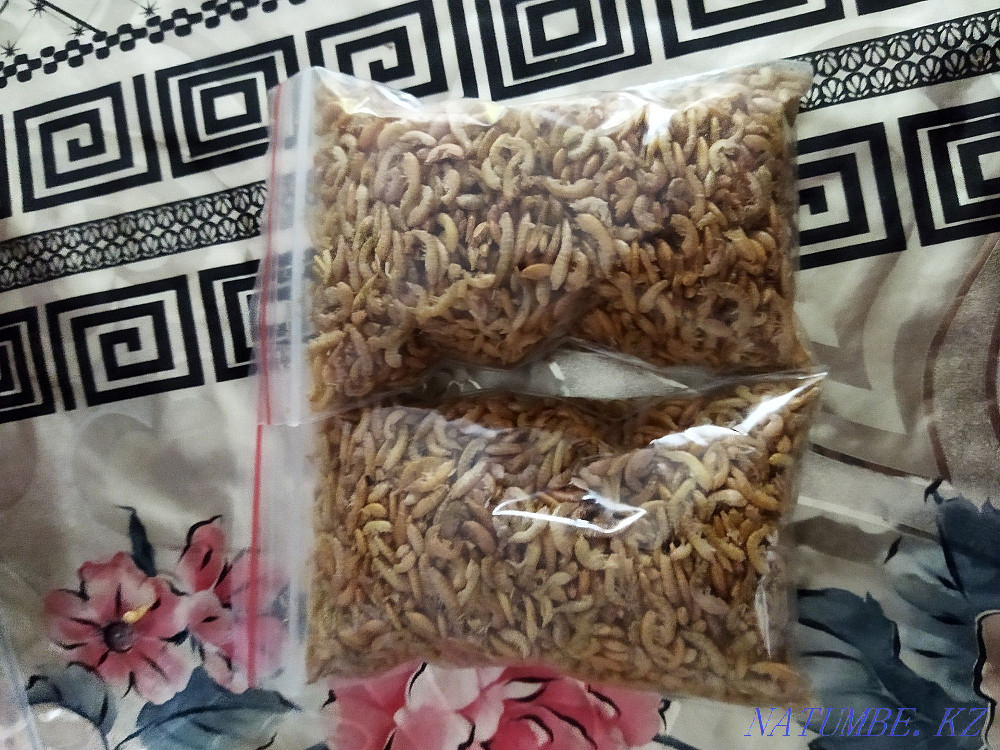 Продам корм для рыбок гаммарус Аксай - изображение 1