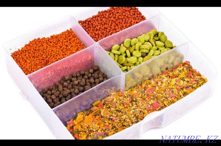 dry food for aquarium fish Aqtobe - photo 1