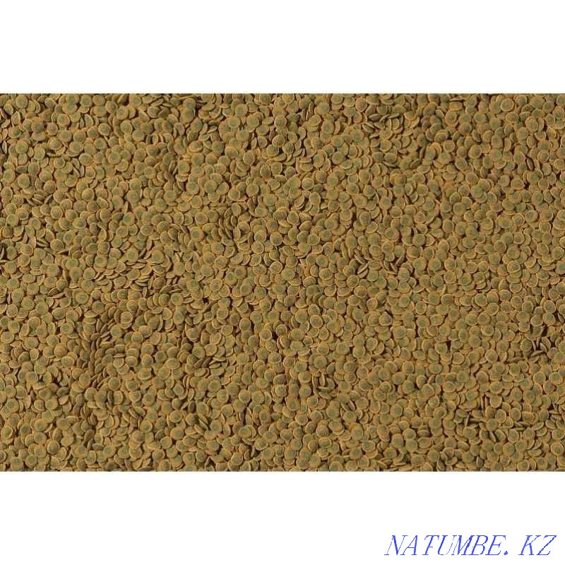 Complete food for bottom fish Tetra Pleco Veggie Wafers. Karaganda Karagandy - photo 4