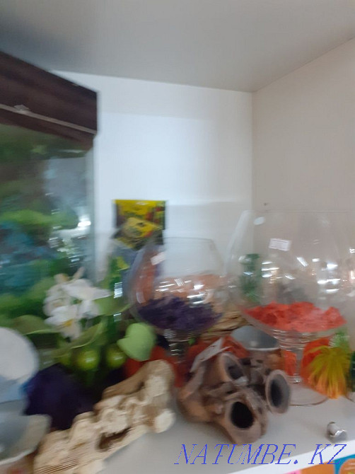 Дөңгелек аквариумдар және шыны аквариумдар  Алматы - изображение 1