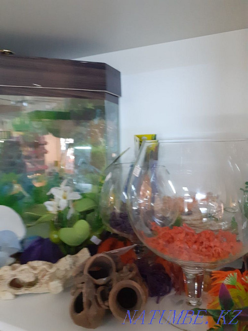 Дөңгелек аквариумдар және шыны аквариумдар  Алматы - изображение 2