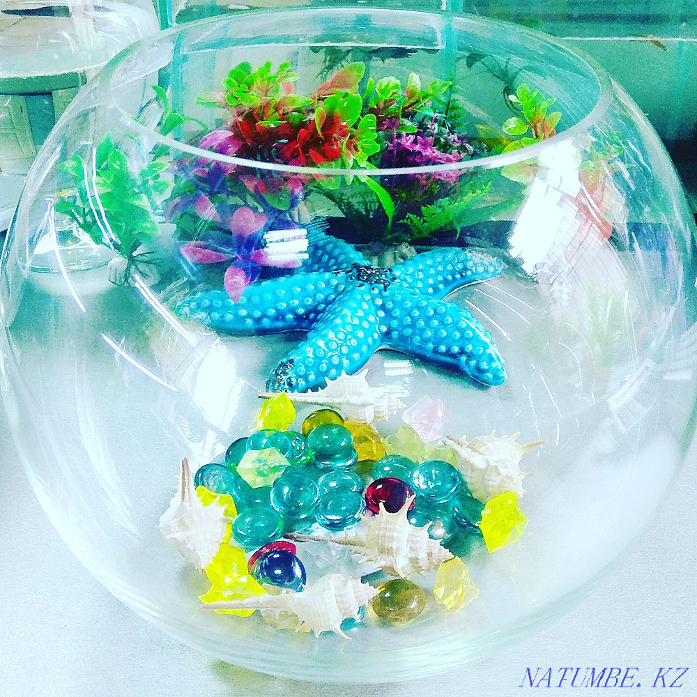 Aquariums in Afalina Almaty - photo 2