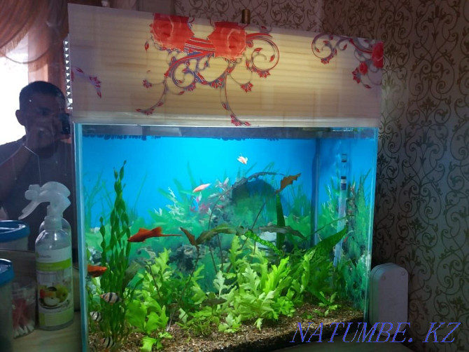 Aquariums to order Balqash - photo 3