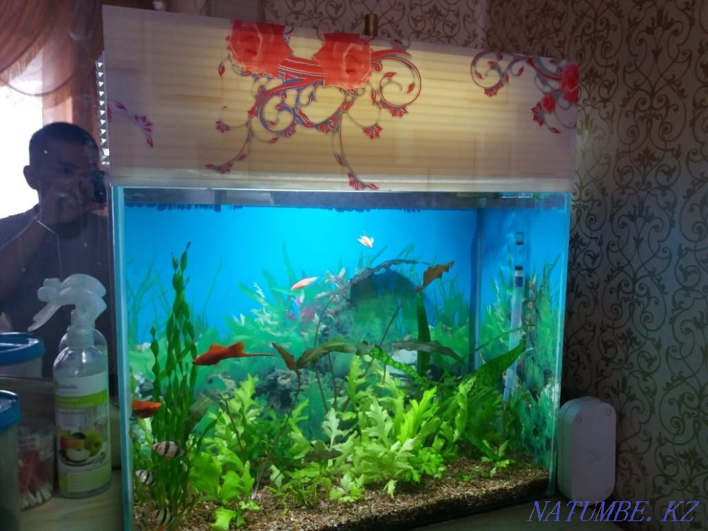 Aquariums to order Balqash - photo 3