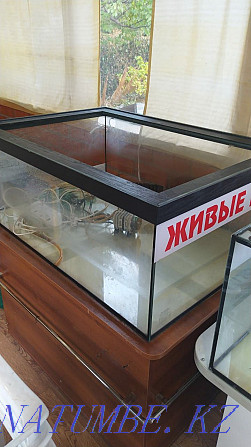 Үлкен аквариумдар  Павлодар  - изображение 1