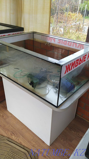 Large aquariums Pavlodar - photo 2