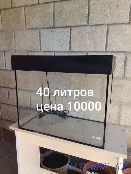 Аквариумы в наличии Кызылорда - изображение 3