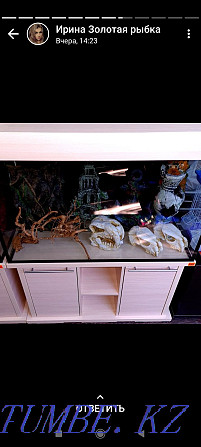 Aquariums in stock and on order Kostanay - photo 2