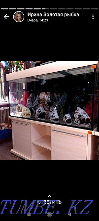 Aquariums in stock and on order Kostanay - photo 3