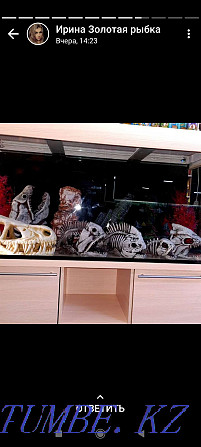 Aquariums in stock and on order Kostanay - photo 1