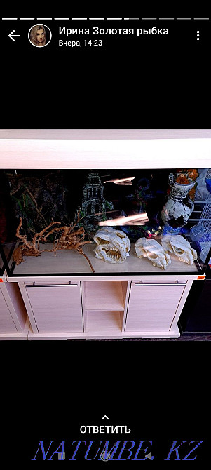 Аквариумы В наличии и под заказ Костанай - изображение 2